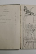 British Insects (1)