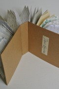 Dear Emma (1)