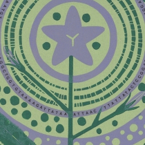 03 Campanula patula III