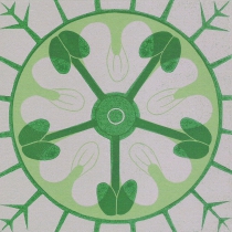 05 Carum verticillatum I