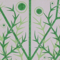 06 Carum verticillatum II