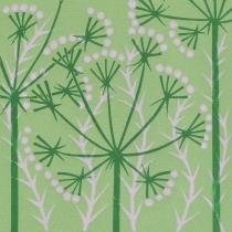 07 Carum verticillatum III