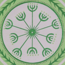 08 Carum verticillatum IV