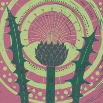 09 Cirsium dissectum I