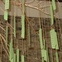 20 Kingdom Plantae (2)