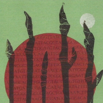 13 Sorbus leyana I
