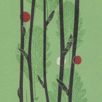 14 Sorbus leyana II