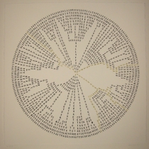 16 Tree of Life