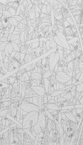 I have sent in the jungle to swamp out your lines II